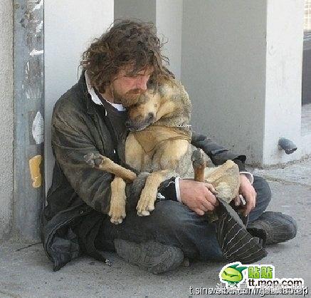 原来动物的世界里也有竞争,动物世界竞争关系