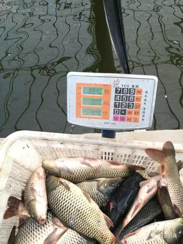 自己对渔获还算满意吧?