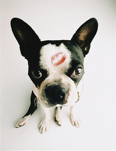 三八女神节送礼攻略,提前收到三八女神节礼物文案