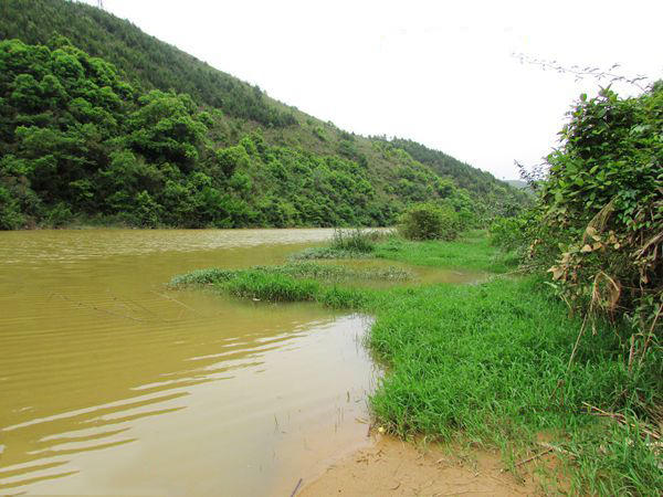 用黑蚯蚓钓黄辣丁,用黑蚯蚓钓什么鱼