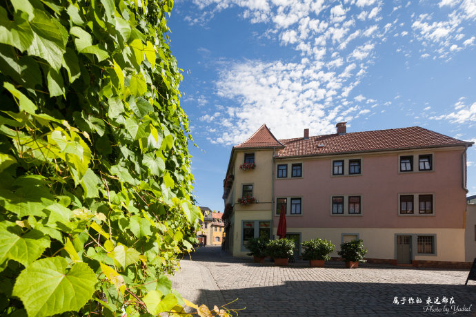 歌德与席勒,歌德为席勒写的诗