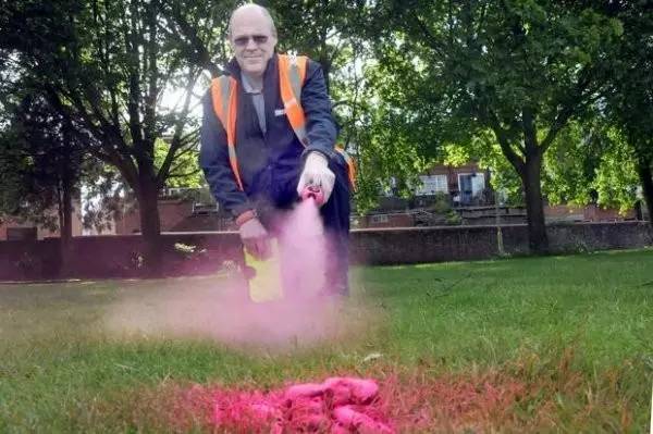 小区很多野狗,小区到处都是狗粑粑谁来管