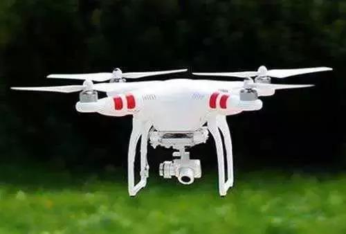 用VR看花海是种怎样的体验?这周就去免费看~