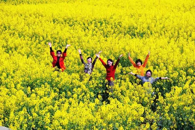 用VR看花海是种怎样的体验?这周就去免费看~