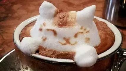 测评各个品牌的奶茶,测评奶茶甜