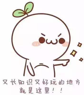 周末特色旅游景点推荐沈阳,沈阳周末好去处长白岛森林公园