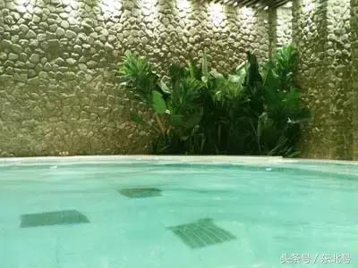 沈阳洗浴排名前十名泡泡森林,沈阳皇姑区沐龙泉韩式洗浴哪家好