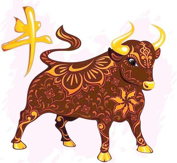 十二生肖龙蛇运势,1月生肖运势大揭秘虎牛龙蛇兔