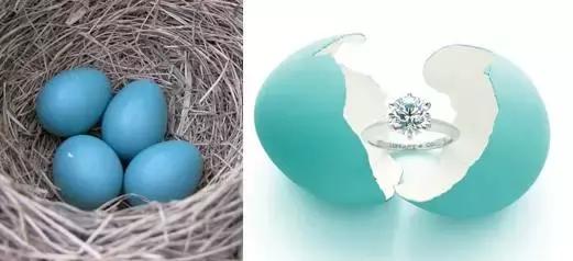 tiffany 鍜宼iffany co (tiffanyco鏄《濂㈠悧)