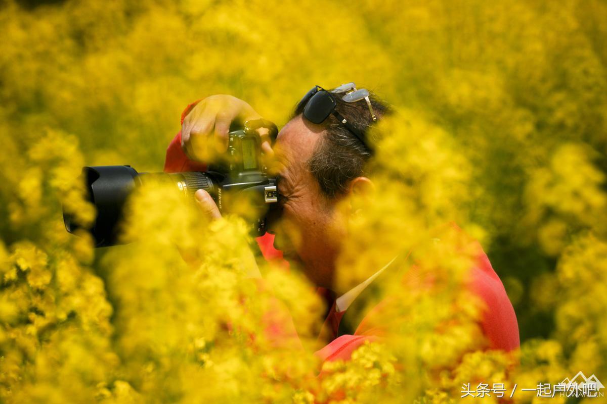 2018汉中油菜花主会场自驾游路线,2018年汉中油菜花海主会场揭秘