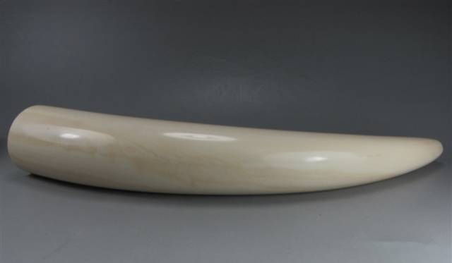 树脂合成猛犸与真猛犸象牙的区别,满文猛犸象牙和非满文猛犸象牙