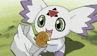 办公室常备的茶,办公室必备哪些好吃到颤抖的饼干