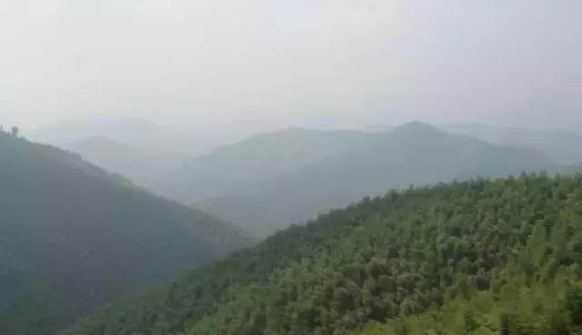 浙江全域旅游发展规划,浙江41个景区免费