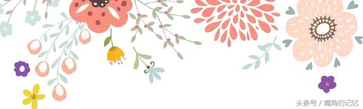 有哪些本子好看 (有哪些可爱的本子)