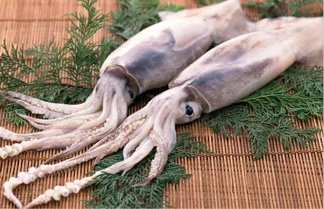 多种海鲜好吃美味来了解一下,海鲜美食大汇总