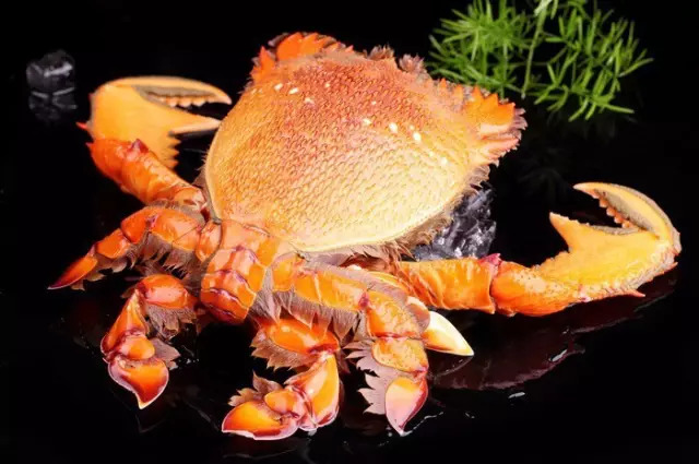 多种海鲜好吃美味来了解一下,海鲜美食大汇总