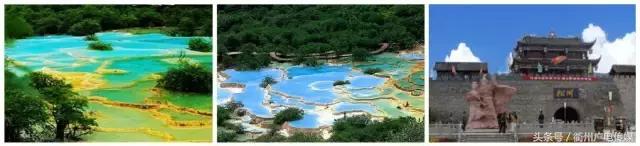 不去韩国游，那去哪玩？衢州旅行社抛出“白菜价”