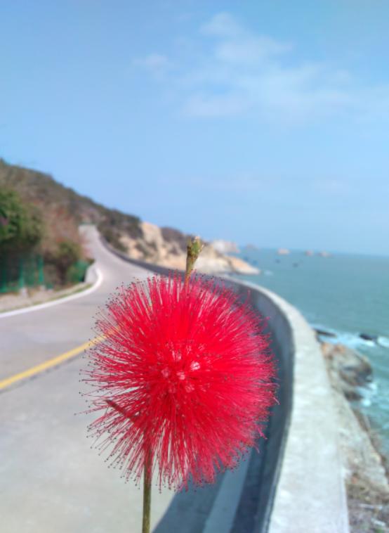 中兴v5max配置,中兴v5裸眼3d手机评测