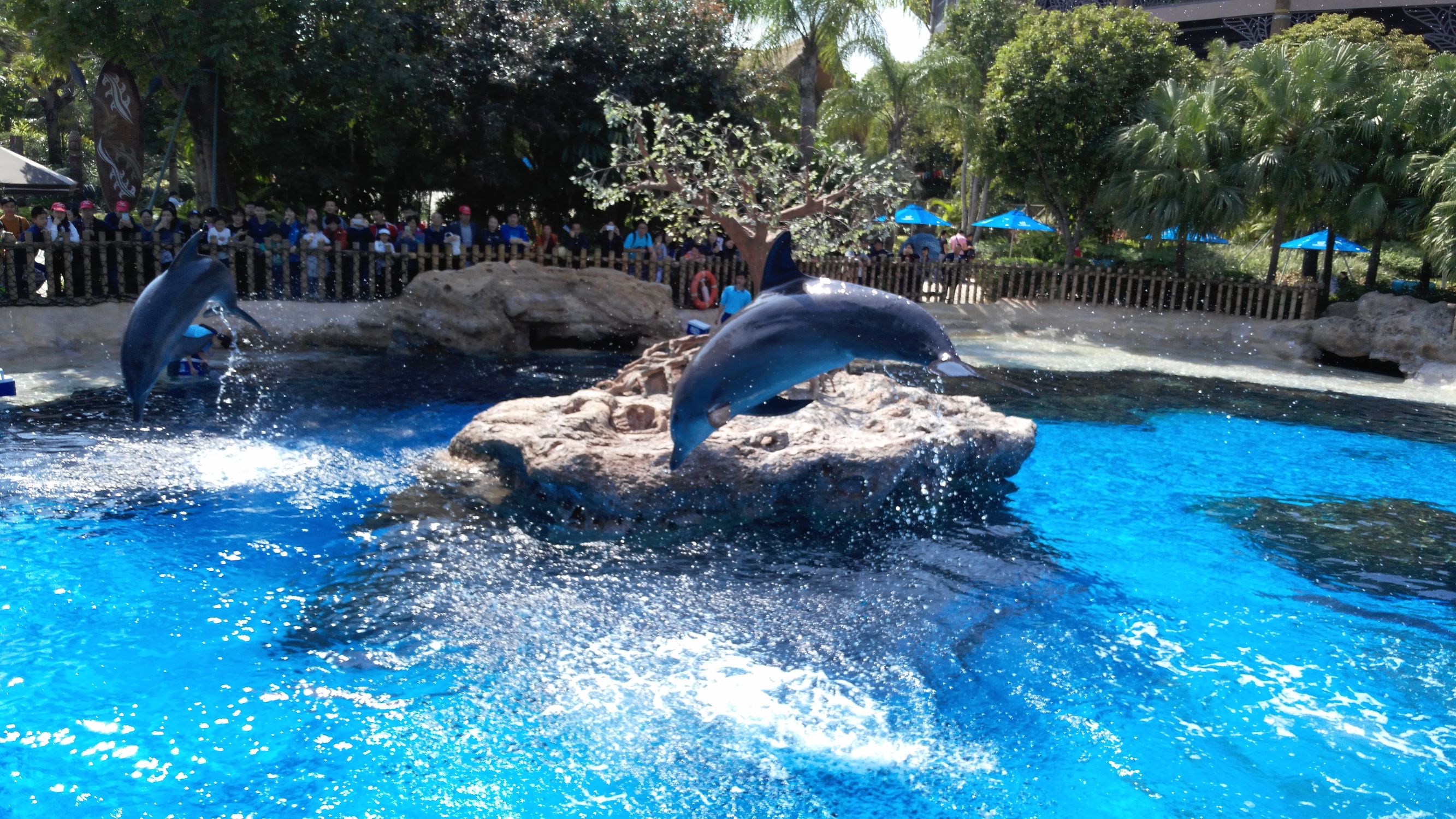 珠海老年团两日游,珠海两日游最佳线路图