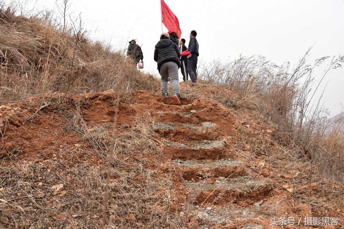义务植树与创建森林城市,共建文明城市小学生