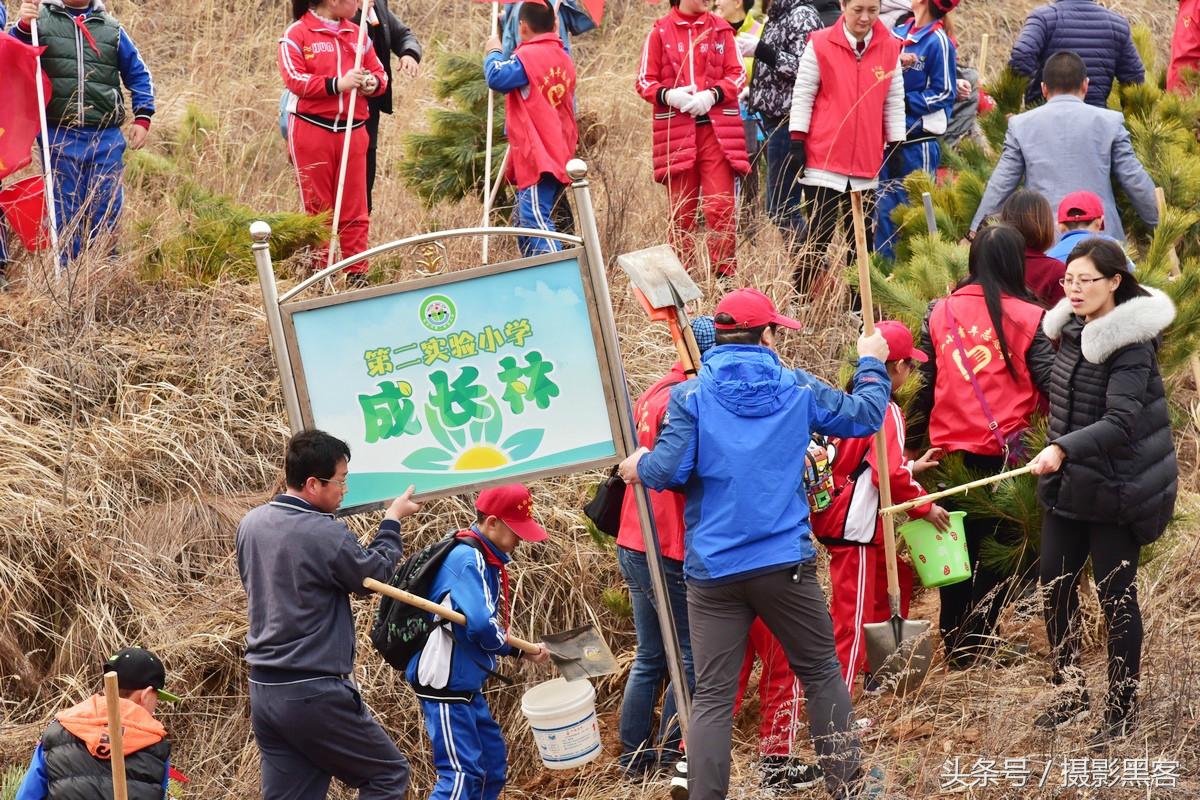 义务植树与创建森林城市,共建文明城市小学生