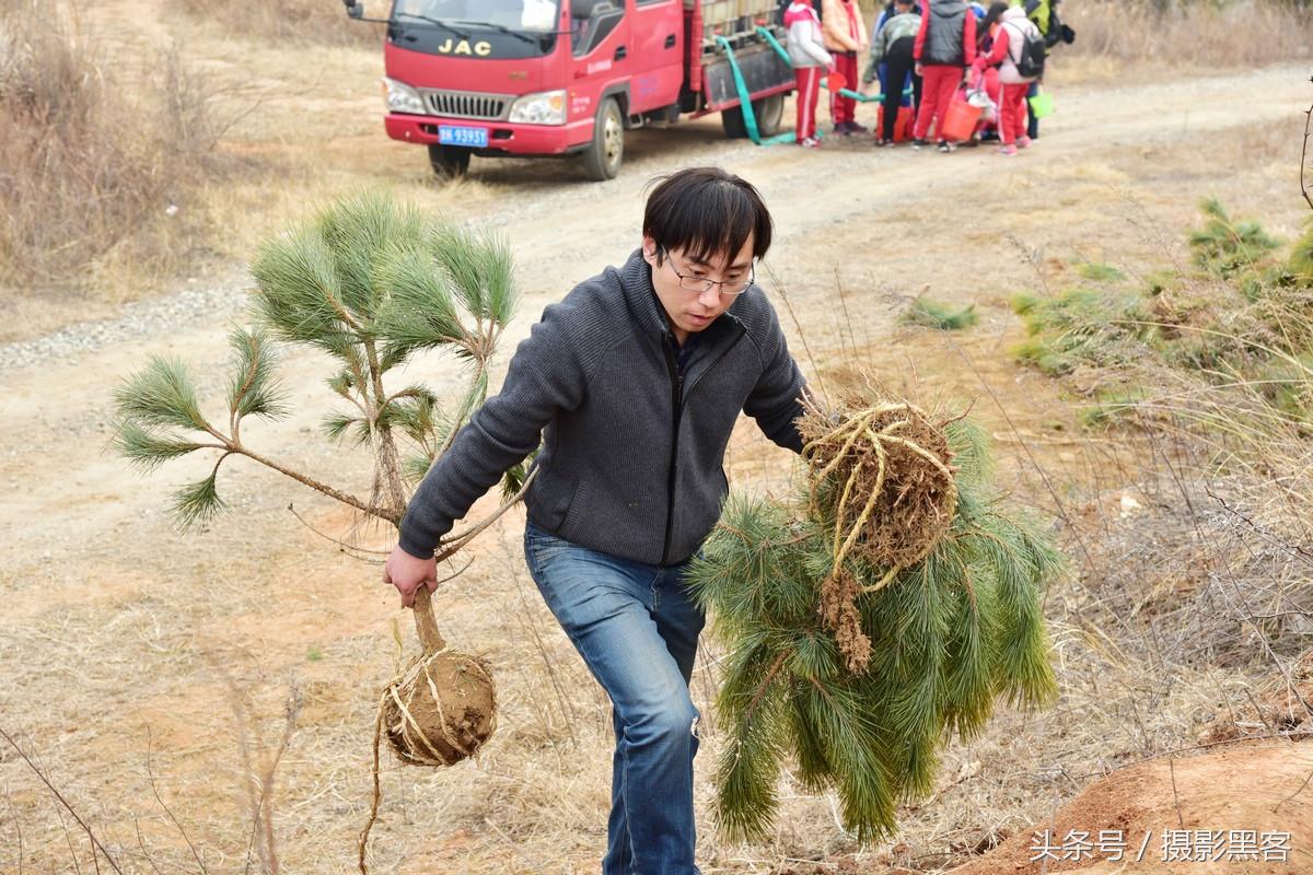 义务植树与创建森林城市,共建文明城市小学生