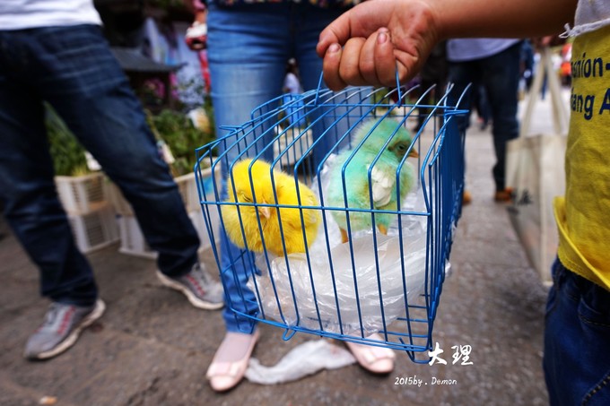 彩云以南,我们终于出发の我带着你,你带着钱!