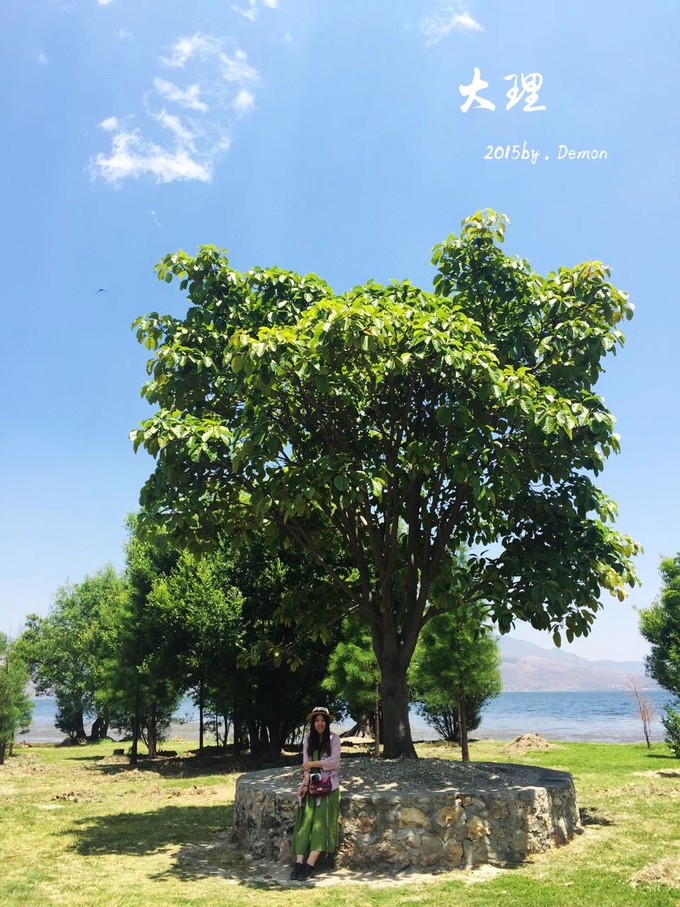 彩云以南,我们终于出发の我带着你,你带着钱!