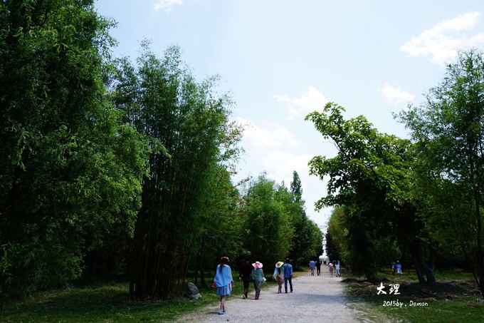 彩云以南,我们终于出发の我带着你,你带着钱!