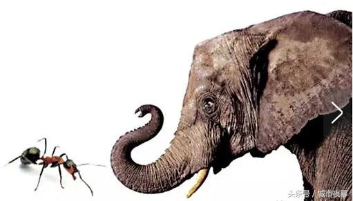 重庆方言幽默段子,李伯清重庆段子