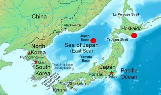 北极甜虾夏天是头籽还是腹籽,北极甜虾原生虾长啥样