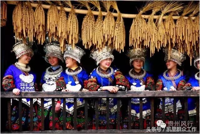 鏉ㄦ緶璐靛窞,鏉ㄦ緶鑻楁棌