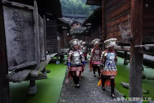 鏉ㄦ緶璐靛窞,鏉ㄦ緶鑻楁棌