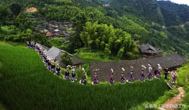 鏉ㄦ緶璐靛窞,鏉ㄦ緶鑻楁棌