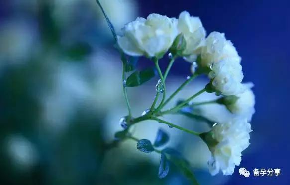 想要了解卵巢功能，从这三方面来看哦！