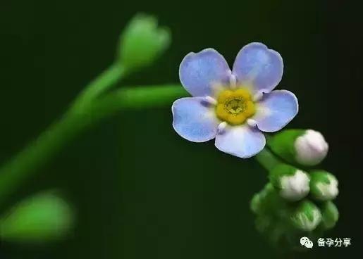 想要了解卵巢功能，从这三方面来看哦！