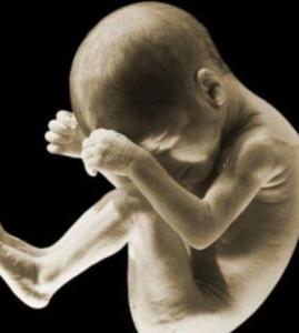 男性孕前检查前三天必须禁烟酒吗,孕前检查必须用第一泡尿吗