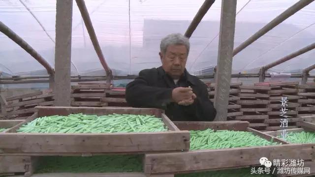 当年老师用的红笔,你知道老师用的粉笔都有什么颜色