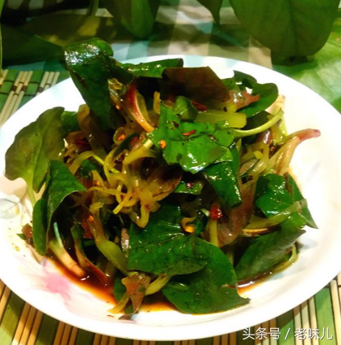 夏季吃这5种野菜清热又开胃,清热解毒的一道家常菜