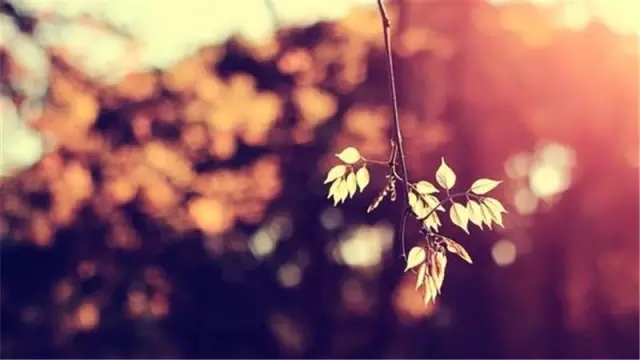 她25岁给人当后妈,后来离开福清去了台湾……