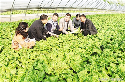 源汇区投资项目,源汇区水产养殖项目