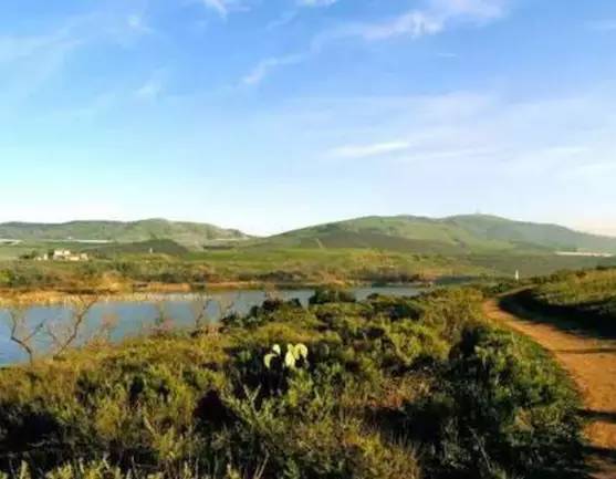 国际经验｜依规划而建的第五代城市——美国尔湾城