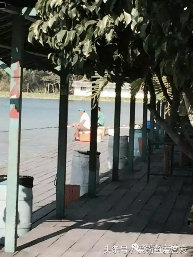 泰国巨骨舌鱼钓场位置,泰国钓鱼钓巨物位置