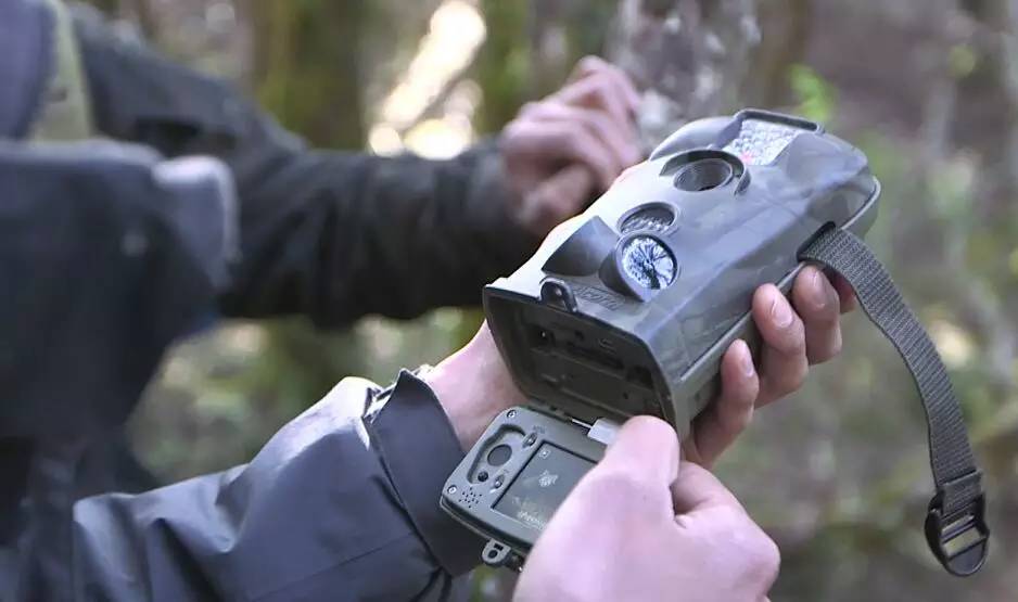 森林之眼好玩吗,森林之眼在景区哪个位置