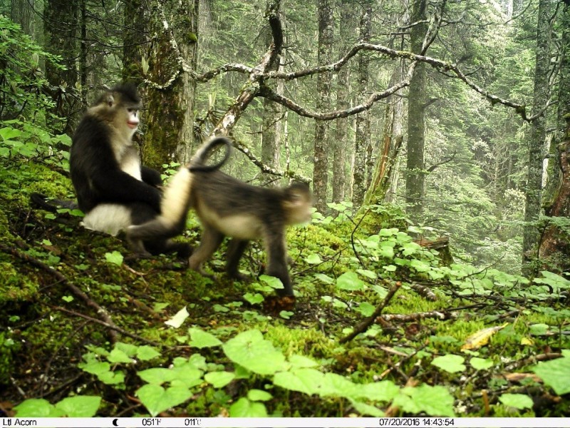 森林之眼好玩吗,森林之眼在景区哪个位置