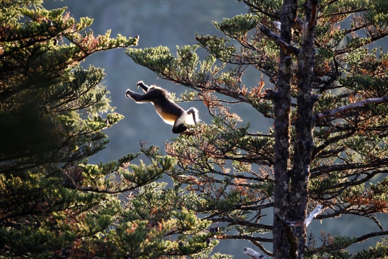 森林之眼好玩吗,森林之眼在景区哪个位置