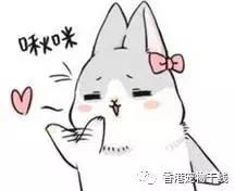 兔子养了几天不想养了,自从养了兔子就开始天天不顺