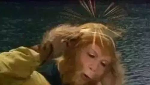 桃花岛稀有宝箱,桃花岛特色物品