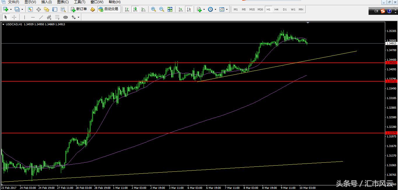 今日夜盘交易策略,今日交易策略分析