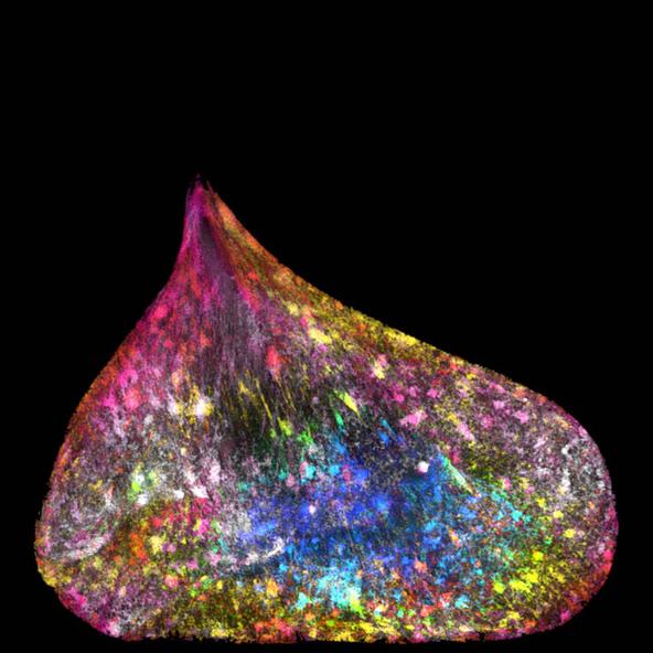 最美的科学图片大全,100个经典科学视觉图